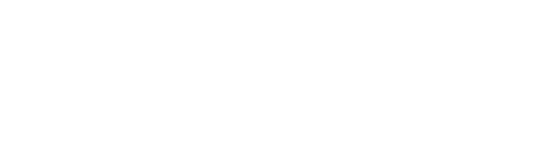 Pro Secure Doors 101 logo